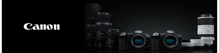 Mirrorless Cameras